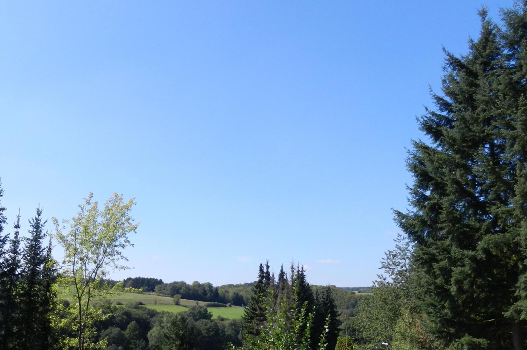 Eifelcottage Ulmen Rum bild