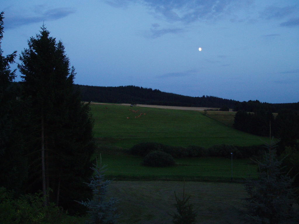 Eifelcottage Ulmen Rum bild