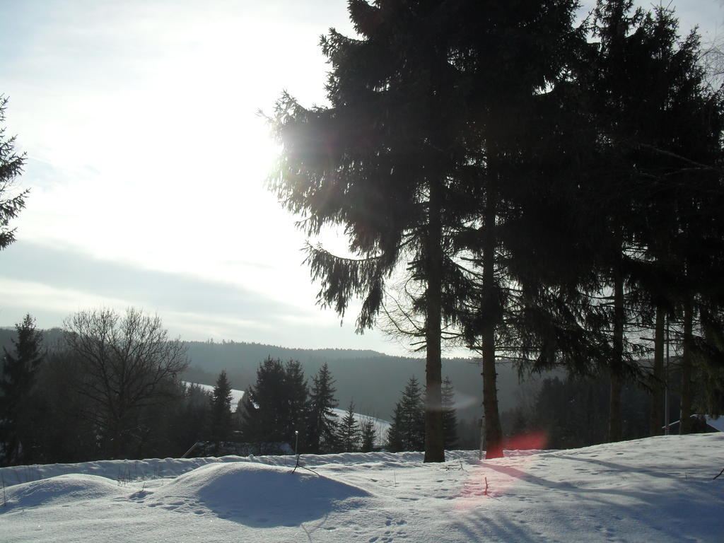 Eifelcottage Ulmen Rum bild