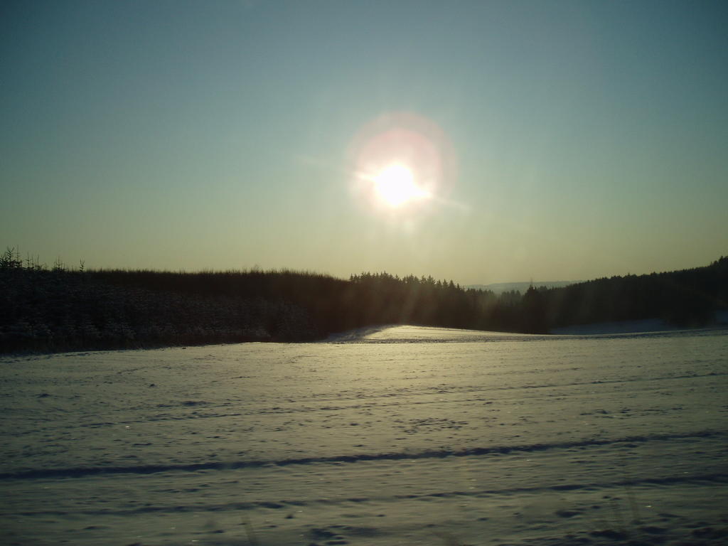Eifelcottage Ulmen Rum bild
