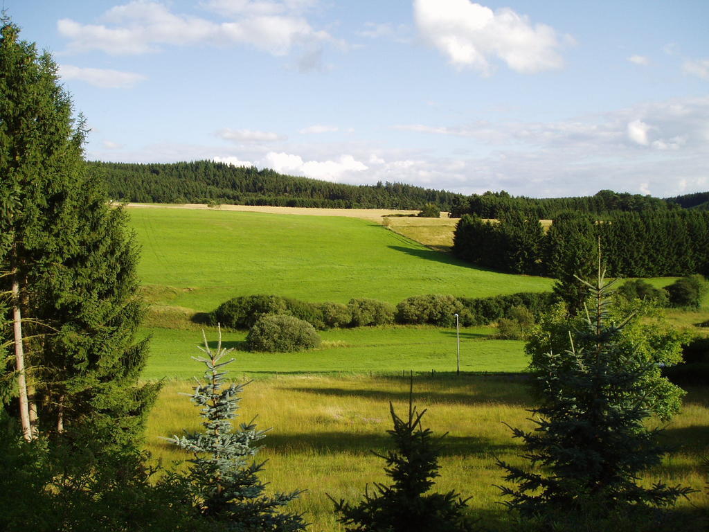 Eifelcottage Ulmen Rum bild