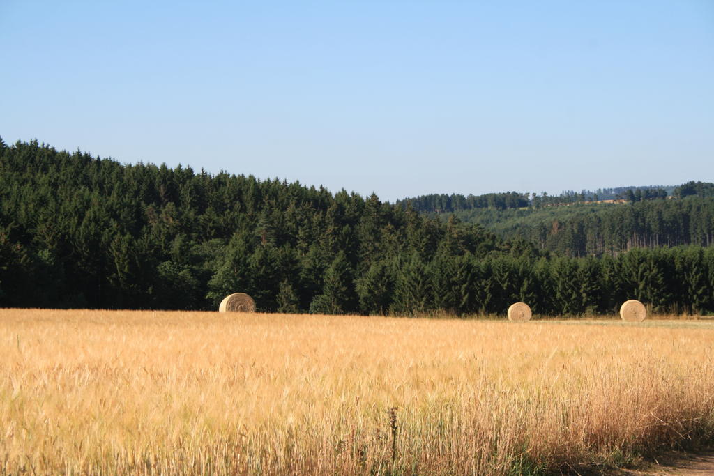 Eifelcottage Ulmen Rum bild